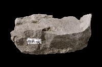 Mudstone Collection Image, Figure 4, Total 8 Figures